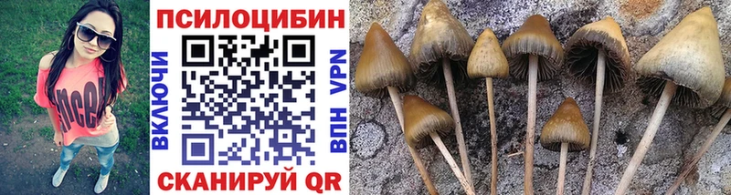 kraken онион  Удачный  Галлюциногенные грибы MAGIC MUSHROOMS 